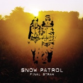 Final Straw artwork