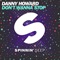 Don't Wanna Stop - Danny Howard lyrics