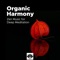 Body Mind - Prana Yoga (feat. Liquid Spirit Out) - Best Harmony lyrics