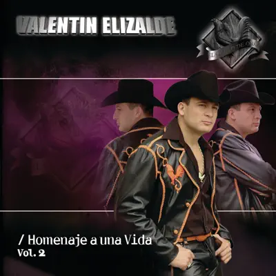 Homenaje a una Vida, Vol. 2 - Valentín Elizalde