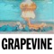 Grapevine (John Christian Remix) artwork