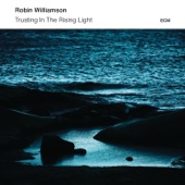 Robin Williamson - The Cards
