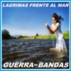 Lágrimas Frente Al Mar