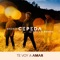 Te Voy a Amar (feat. Cali y El Dandee) artwork