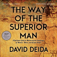 David Deida - The Way of the Superior Man (Unabridged) artwork