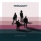 Almost Made It - Racoon lyrics