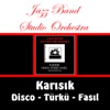 Karisik Disco - Turku - Fasil