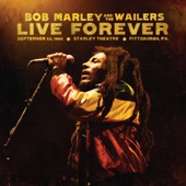 Bob Marley - Get Up Stand Up