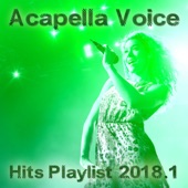 Acapella Voice Hits Playlist 2018.1 artwork