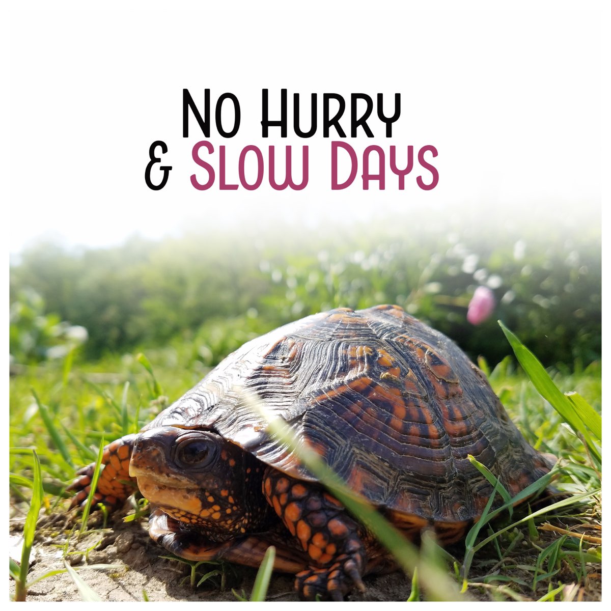 Slow day. Hurry slowly.