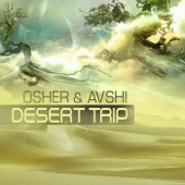 Desert Trip artwork