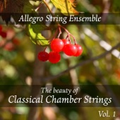 The Beauty of Classical Chamber Strings, Vol. 1 artwork