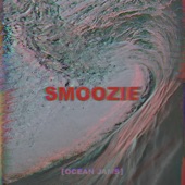 Smoozie artwork