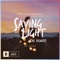 Saving Light (Notaker Remix) [feat. HALIENE] - Gareth Emery & STANDERWICK lyrics