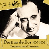 Destino De Flor (1957-1958) artwork