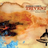 Introducing Triveni (feat. Nasheet Waits & Omer Avital) artwork