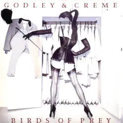 Birds of Prey - Godley & Creme