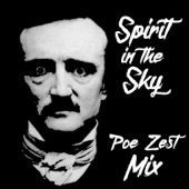 Spirit in the Sky (Poe Zest Mix) artwork