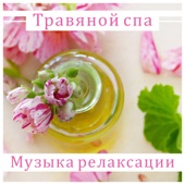 Травяной спа: Музыка релаксации - Звуки природы для массажа, удовольствие для чувств artwork