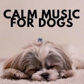 Calm Music for Dogs - Pet Therapy Music, Pet Sitter Songs artwork