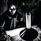 Black Lab - Wash It Away