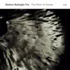 Stefano Battaglia Trio: The River Of Anyder album lyrics, reviews, download