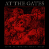 At the Gates - To Drink From the Night Itself  artwork