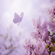 Always - Peder B. Helland