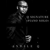 Q Signature (Piano Solo) artwork