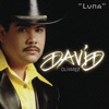 David Olivarez - Luna