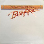The Bushwackers Band - Past Carin'