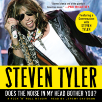 Steven Tyler - Does the Noise in My Head Bother You? artwork