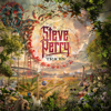 Steve Perry - Traces  artwork