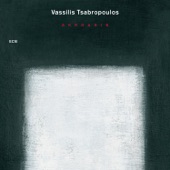 Vassilis Tsabropoulos: Akroasis artwork