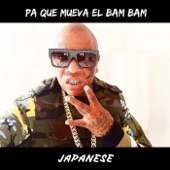 Pa Que Mueva el Bam Bam artwork