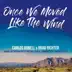 Once We Moved Like the Wind album cover