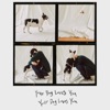 Colde - Your Dog Loves You (feat. Crush)