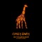 40 Years Old (feat. Rothwell) [Hazers Remix] - Casey Lowry lyrics