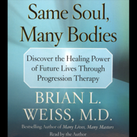 Brian L. Weiss - Same Soul, Many Bodies artwork