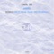 Cahiro - Carl OS lyrics