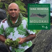 Music for the Hawaiian Islands, Vol. 6 (Aina Momona, Molokai) artwork