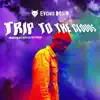 Trip to the Clouds (feat. Kato on the Track) song lyrics