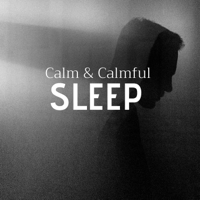 Deep Sleep Hypnosis & Ultimate Bliss - Calm & Calmful Sleep - Best Songs for Sleeping at Night artwork
