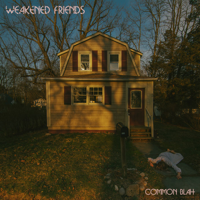 Weakened Friends - Common Blah artwork