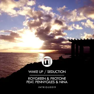 Wake Up (feat. Pennygiles & Nina) by Roygreen & Protone song reviws