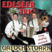 Uafoch stoark (Einfach stark) artwork