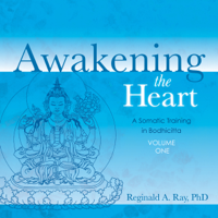 Reginald A. Ray - Awakening the Heart, Volume 1: A Somatic Training in Bodhicitta artwork