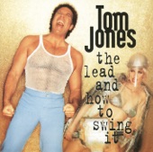 The Lead and How to Swing It artwork