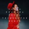 ПЛАКАЛА (Pasha Trimbeater Remix) - Single