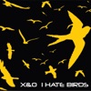 I Hate Birds